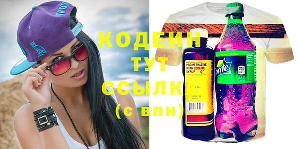 ГАЛЛЮЦИНОГЕННЫЕ ГРИБЫ Михайлов