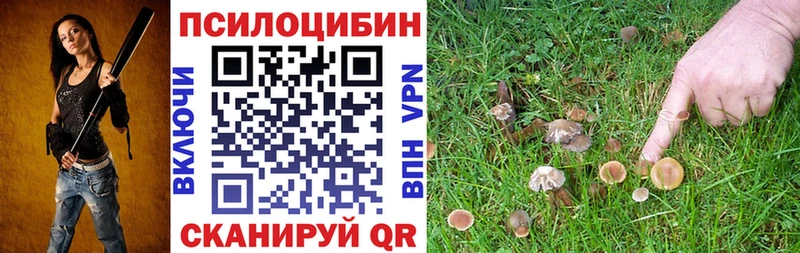 Галлюциногенные грибы GOLDEN TEACHER гидра ССЫЛКА Усолье